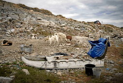 Belar artifizialeko futbol zelaia. Elur arrastorik ez.