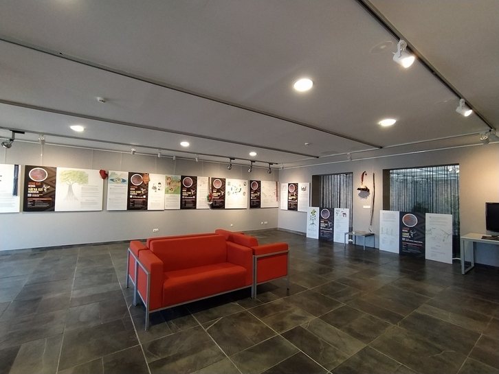 Hizkuntz indigenen gaineko erakusketa ibiltaria, irudian.