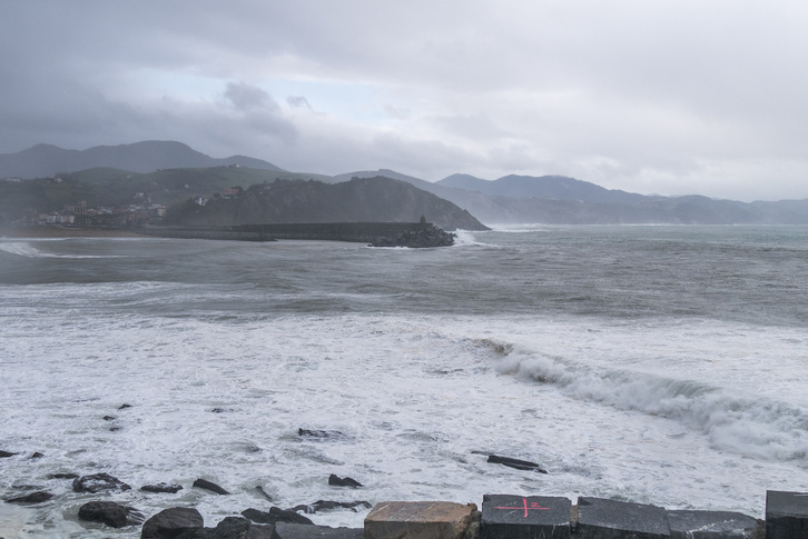 ‘Bizitzaren jatorria’ aztergai izango dute Zarautzen asteartean, Carlos Briones ikertzailearen parte hartzearekin.