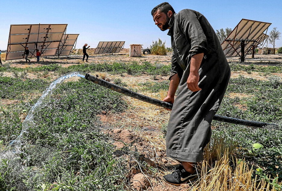 Un granjero riega con una manguera sus huertos de sandías en Hasakeh, en el noreste de Siria. Un granjero riega con una manguera sus huertos de sandías en Hasakeh, en el noreste de Siria.