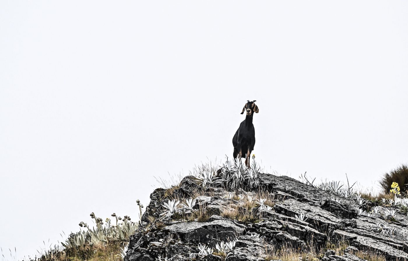 Juan BARRETO/AFP Juan BARRETO/AFP