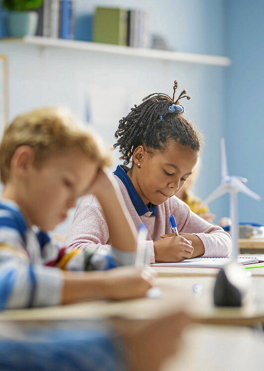 Iraultza beharrean, proposamen xumeak behar dira eskolan.