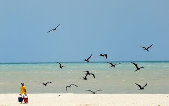 Aves en el Caribe colombiano. 