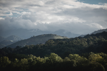Selon E-CHO, leur projet, en particulier celui de BioTjet ne menace en aucun cas la forêt des Pyrénées.