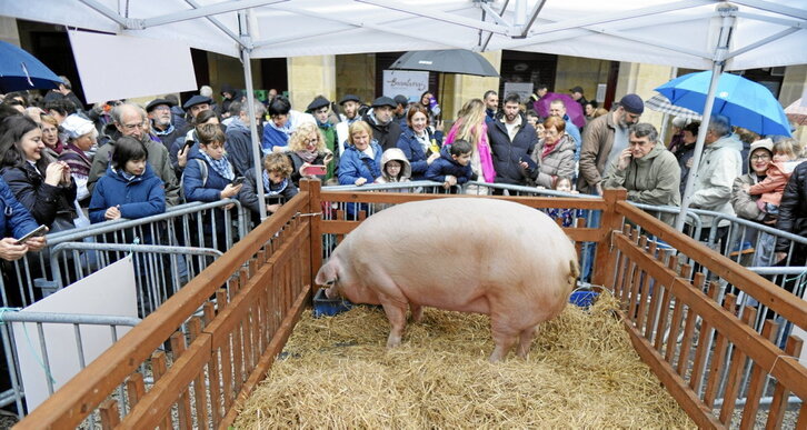 Ezkerrean, Xixili, 350 kiloko txerrama. Eskuman, txistorrak eta haragia zintzilik, Bilboko postuetako batean.