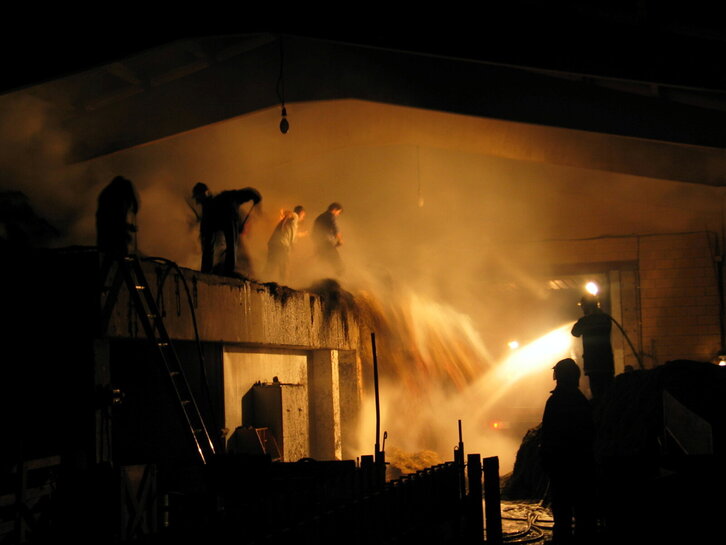 Fd-2024-01-01-giz_070101_2626