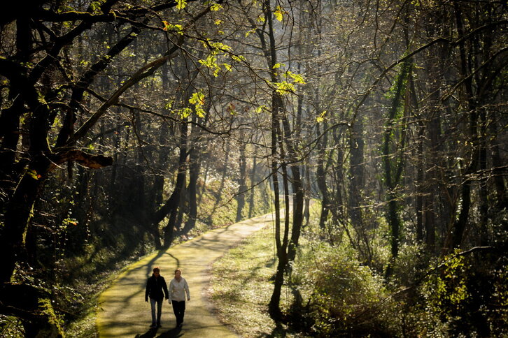 Fd-2024-01-03-bb_20160314275283