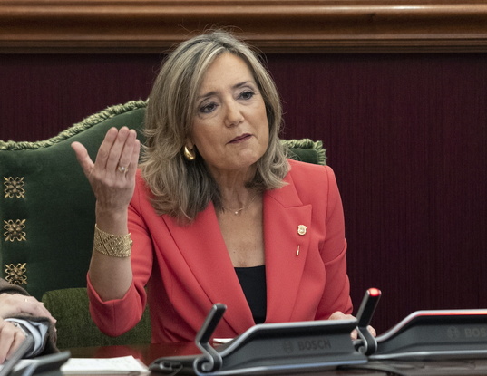 Cristina Ibarrola, en el pleno.