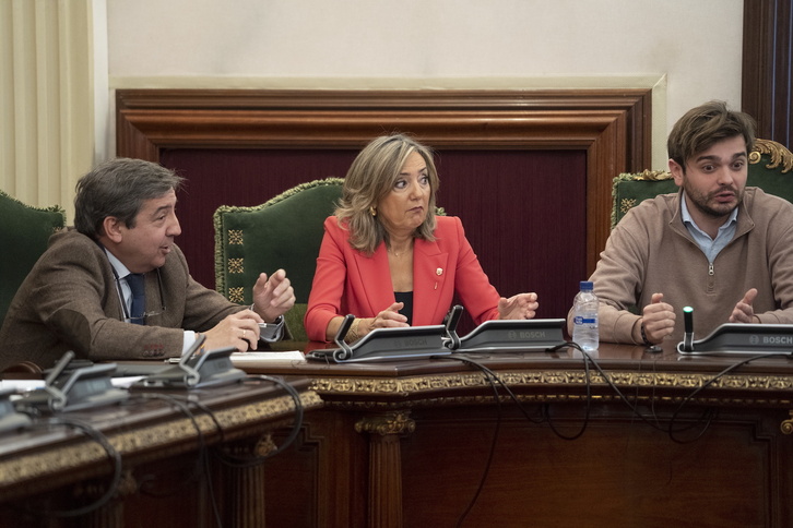 Cristina Ibarrola, durante el pleno en que se ha aprobado la moción de censura en su contra.