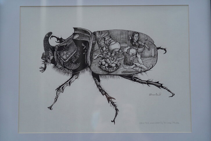 Fd-2024-01-04-aa_20220104076116