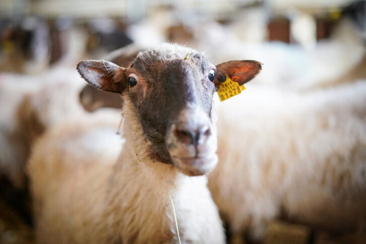 Fd-2024-01-04-aa_20230104275432