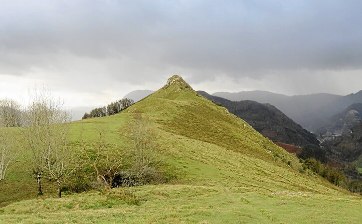 Saltsamendi gailur pikoa. (A. Urbistondo)