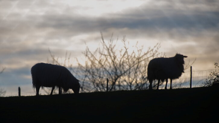 Fd-2024-01-05-nat140105_0032