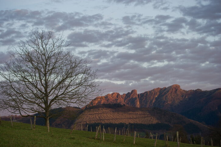 Fd-2024-01-05-nat140105_0033