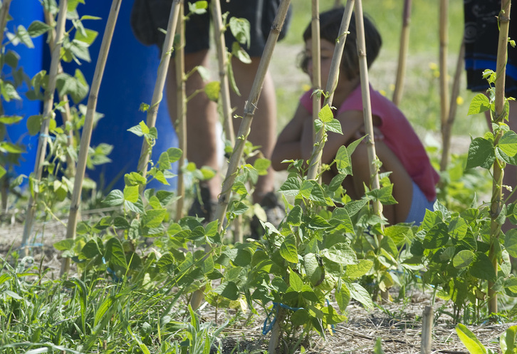 Historian zehar emakumeek baserrian egin duten lana ikusarazi nahi du dokumentalak.