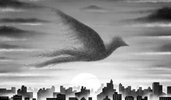 820-poster_to-bird-or-not-to-bird-1200x700