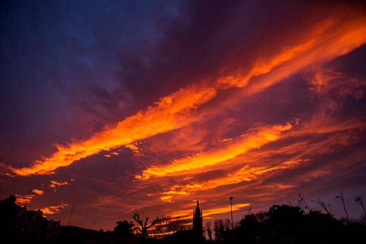 Fd-2024-01-08-giz140108_0113