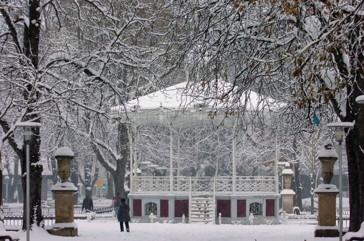 Fd-2024-01-08-nat_100108_0099