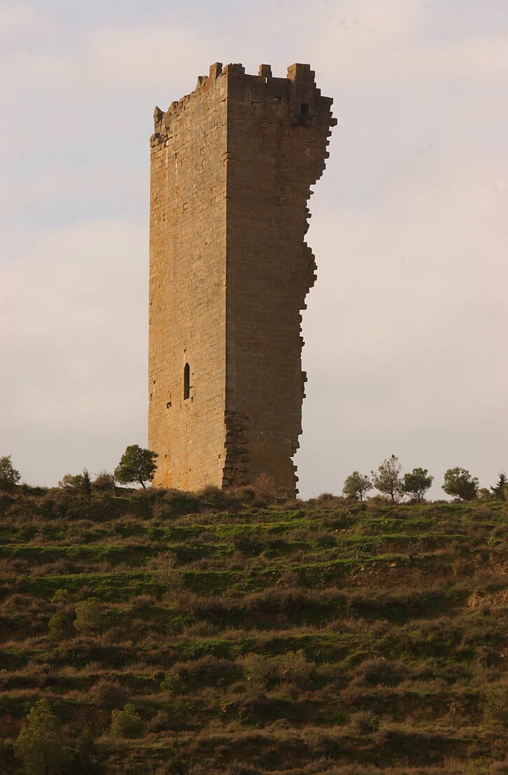 Fd-2024-01-09-giz_040109_2904