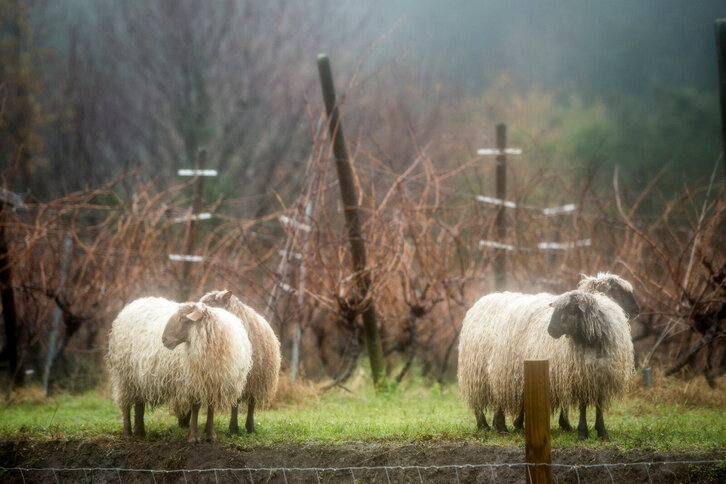 Fd-2024-01-11-gas170111_0003