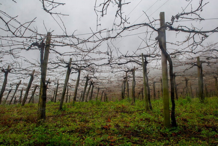 Fd-2024-01-11-gas170111_0106