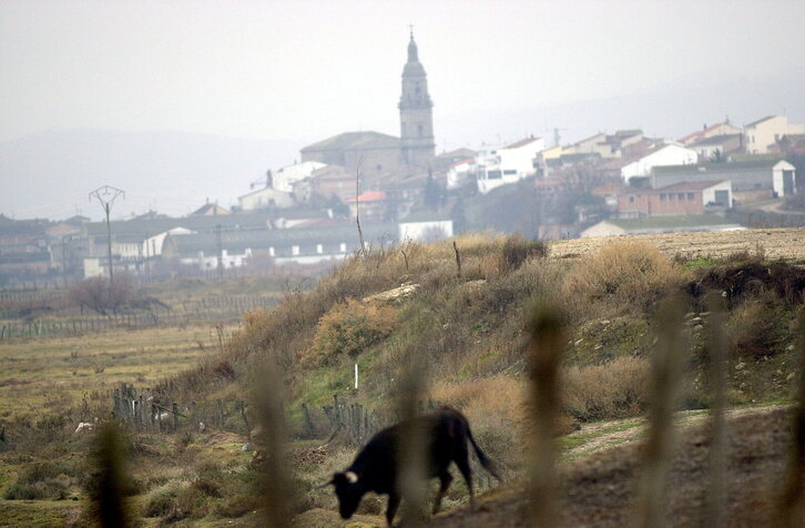 Fd-2024-01-11-giz_020111_4124