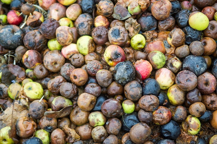 Fd-2024-01-11-giz170111_0042