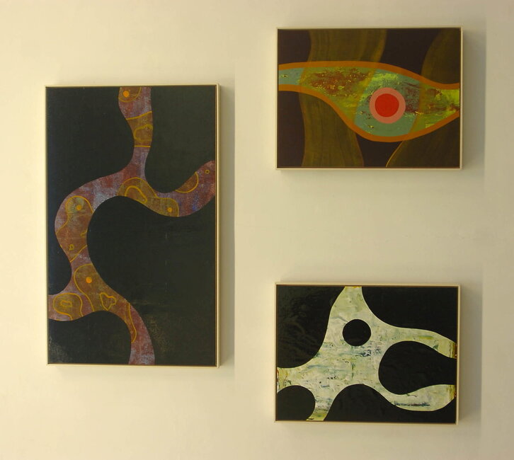 Fd-2024-01-11-kul_070111_3027