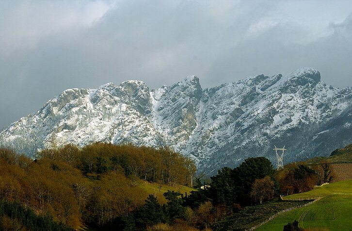 Fd-2024-01-11-nat_030111_1631