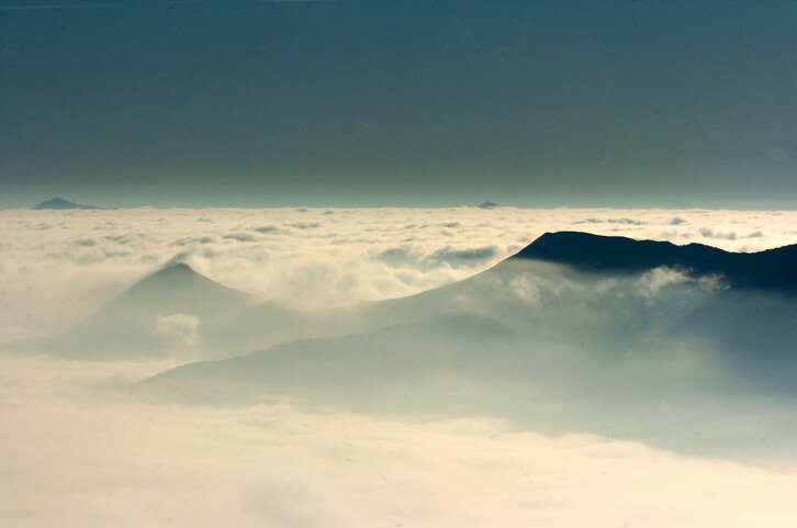 Fd-2024-01-11-nat_060111_0533