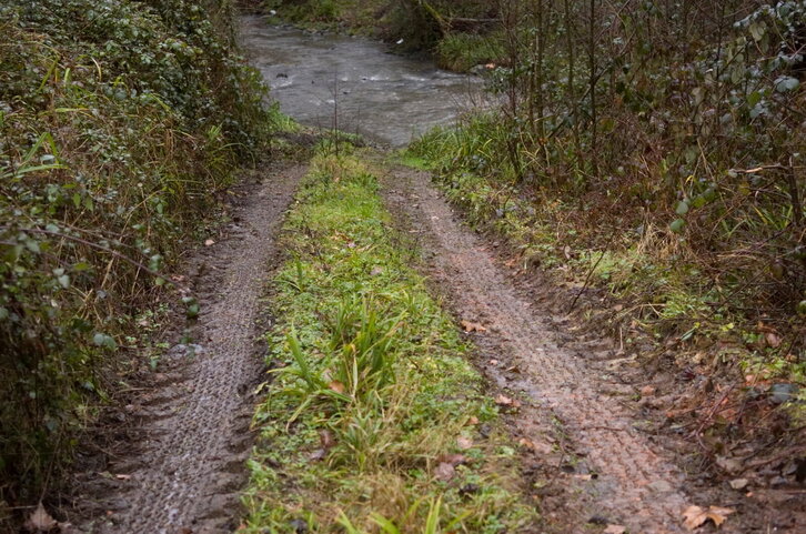 Fd-2024-01-11-pol_080111_0034