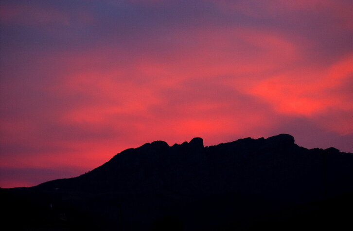 Fd-2024-01-15-nat_040115_0154