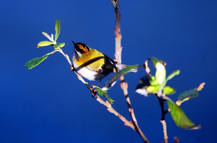 Fd-2024-01-15-nat_040115_0161