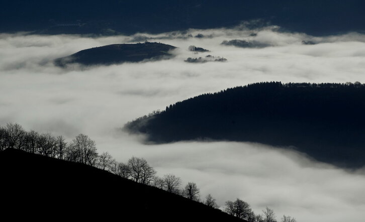 Fd-2024-01-15-nat_110115_0165