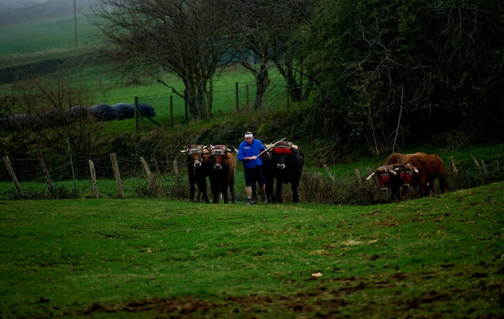 Fd-2024-01-15-kir140115_0006