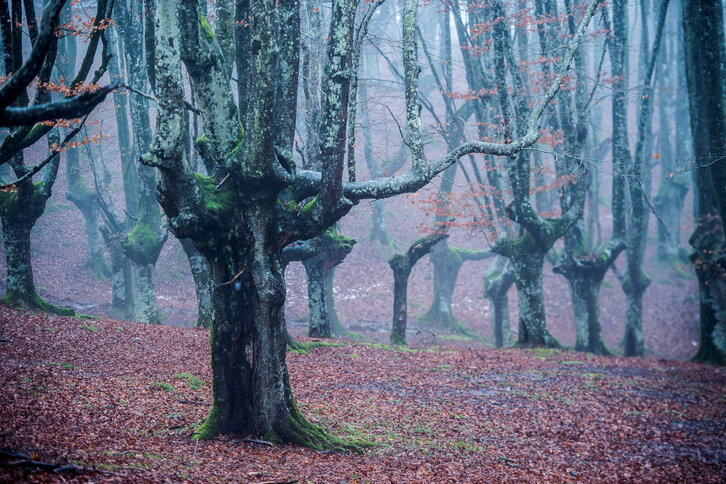 Fd-2024-01-15-nat170115_0046