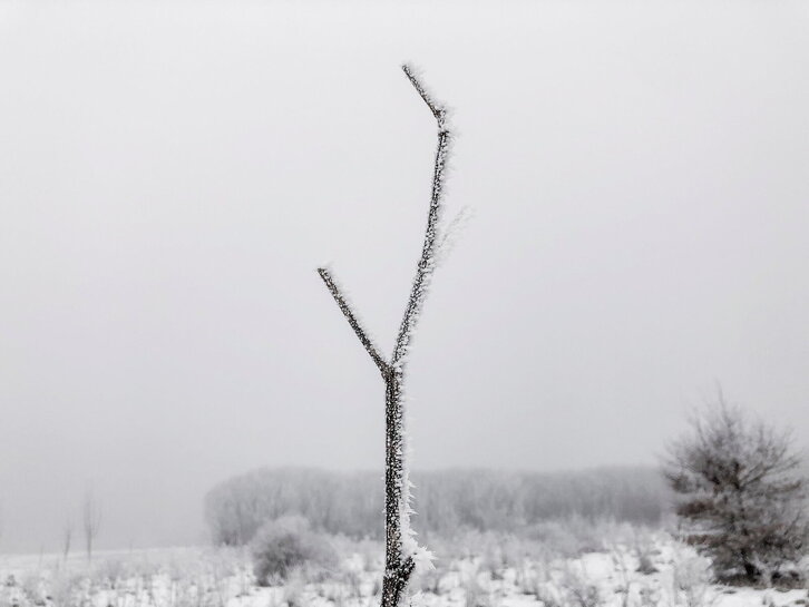 Fd-2024-01-07-bb_20210107952489