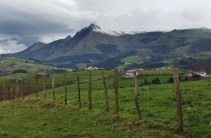 Fd-2024-01-07-giz_030107_2976