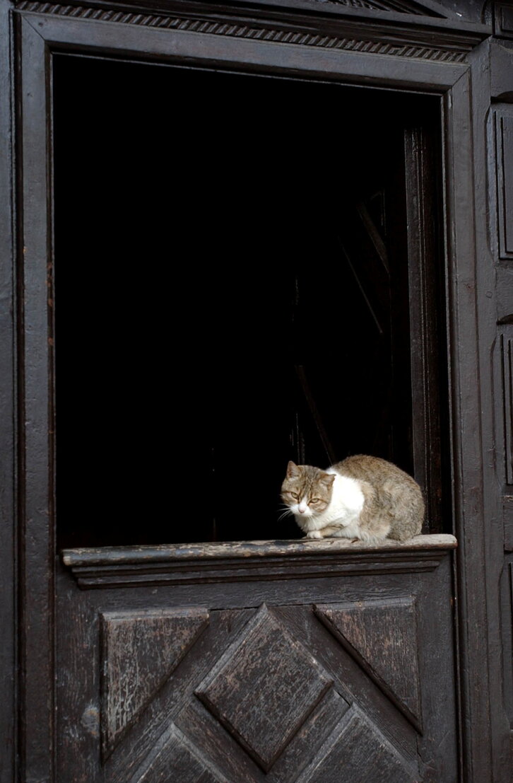 Fd-2024-01-07-giz_040107_2134