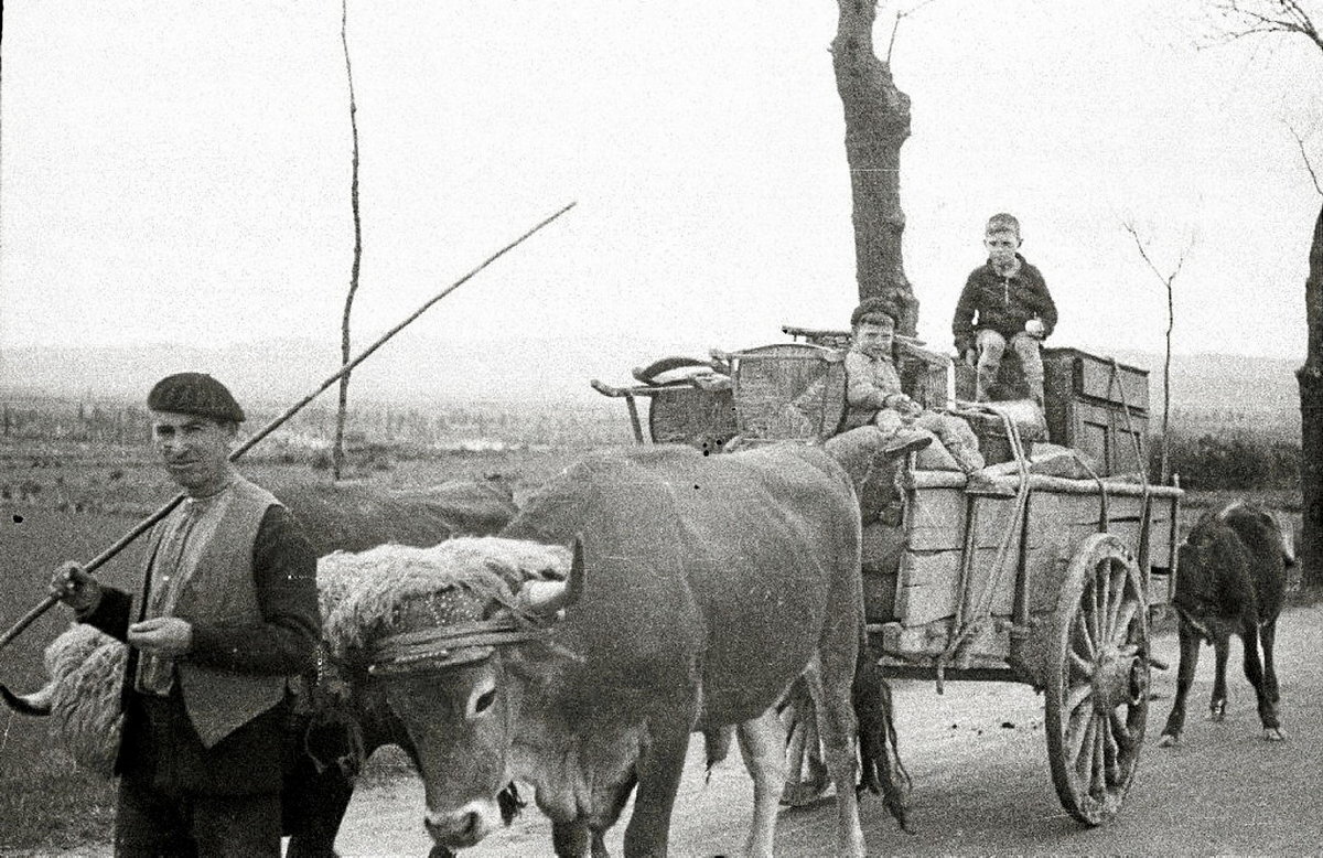Idi-gurdia, gerrako biktimen tresnekin, Eibar ebakuatzera behartuta. (MARIN FUNTSA / KUTXA FOTOTEKA)