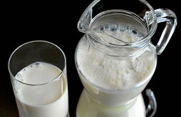 Esnea izan da gehien garestitu den produktua.