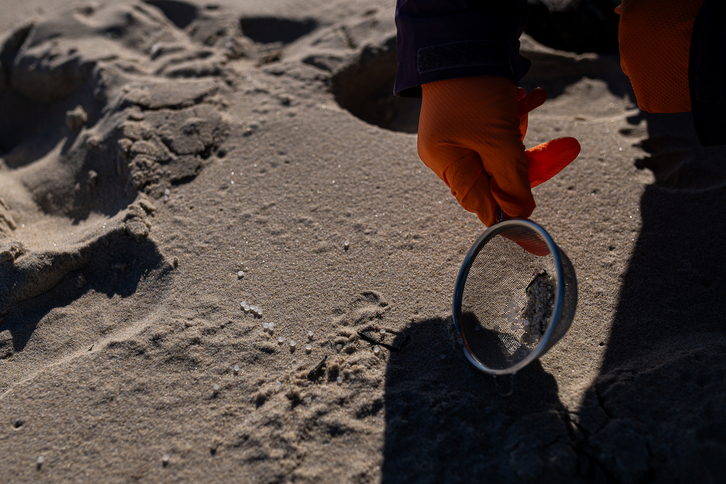 Voluntarios participan en la recogida de pellets en la playa de A Coruña.