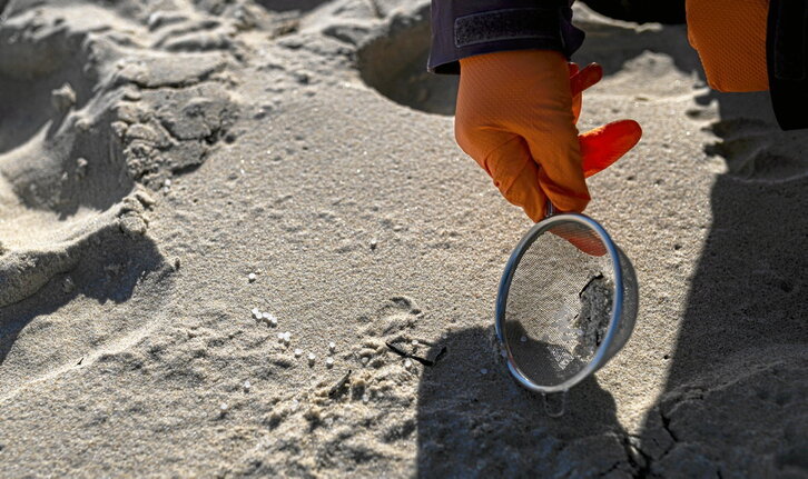 La recogida es delicada: hay que evitar pisar los plásticos y retirarlos con cedazos y coladores.