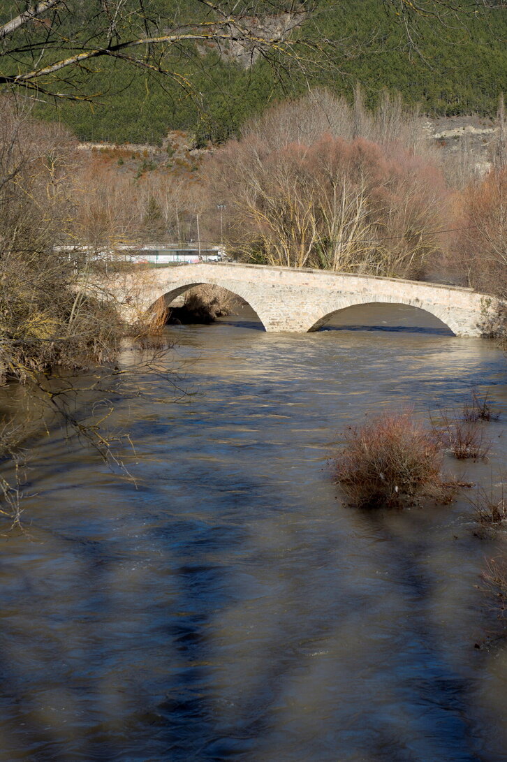 Fd-2024-01-17-nat170117_0039