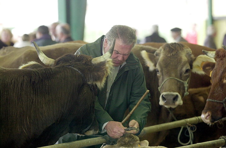 Fd-2024-01-19-etx_010119_289235