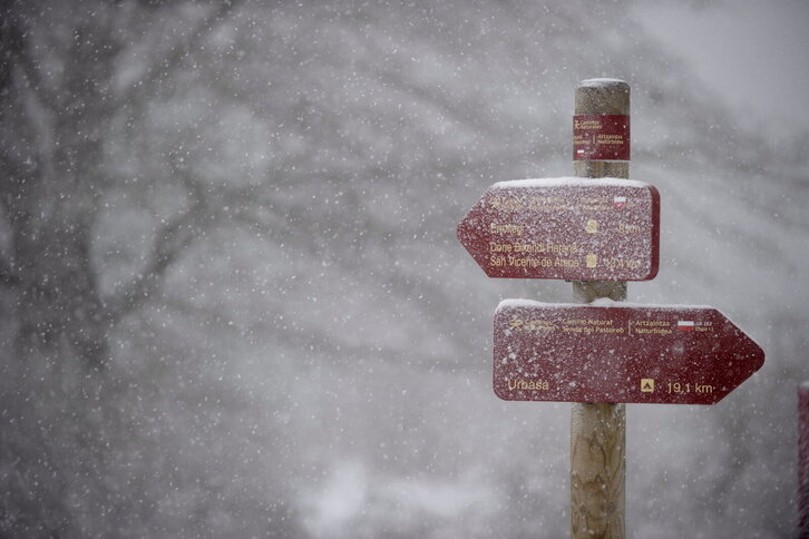 Fd-2024-01-20-nat140120_0013