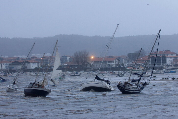 Fd-2024-01-24-giz_090124_4430