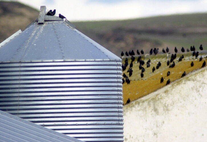 Fd-2024-01-25-etx_010125_241185