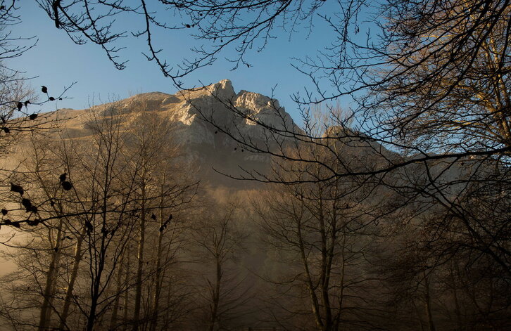 Fd-2024-01-25-nat170125_0001