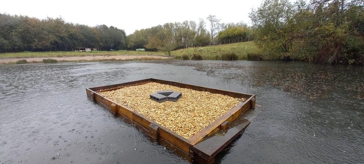 Txirritxoentzat jarritako plataforma, irudian.